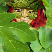 Greenwoman OOAK Spirit Doll 