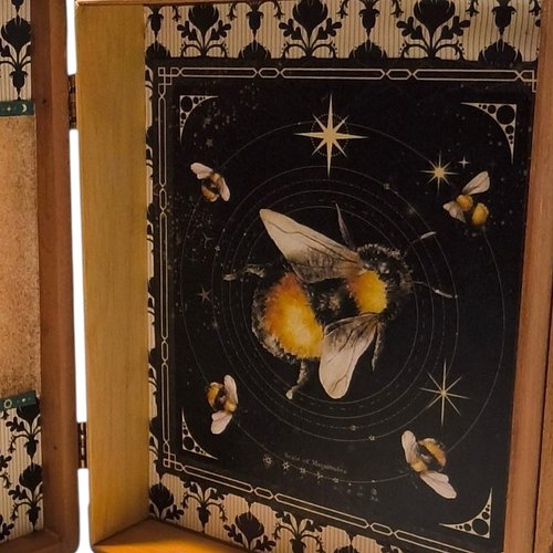 Botanical Nature Celestial Bee Altered Cigar Box - Tarot Crystal Storage 